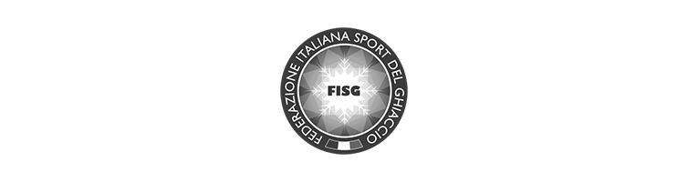 logo fisg